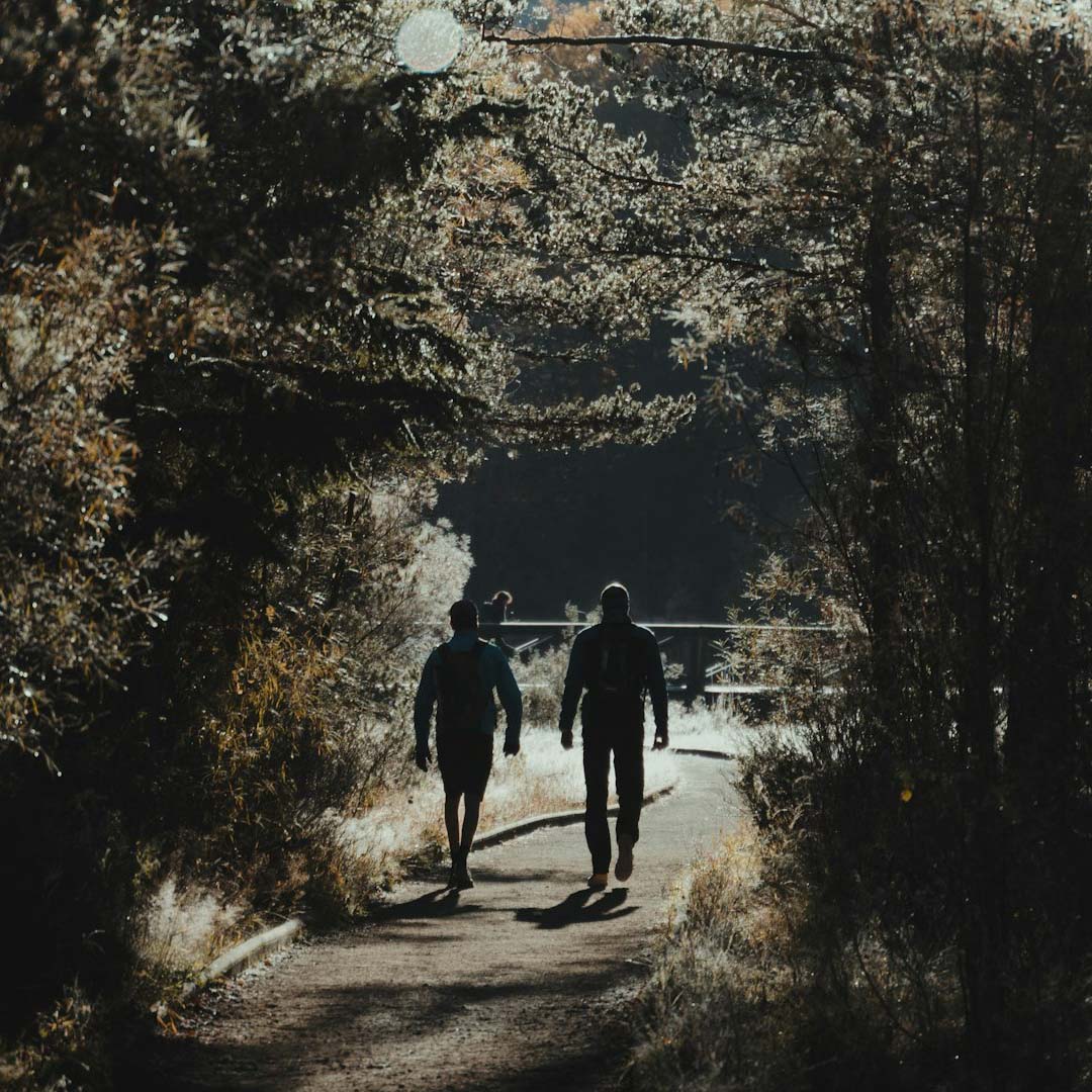 Zwei Personen gehen entspannt in der Natur nebeneinander – Symbol für Walk & Talk